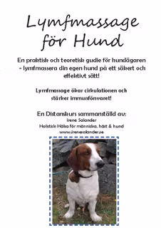 Distanskurs Lymfmassage på HUND