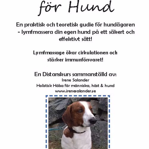Distanskurs Lymfmassage på HUND