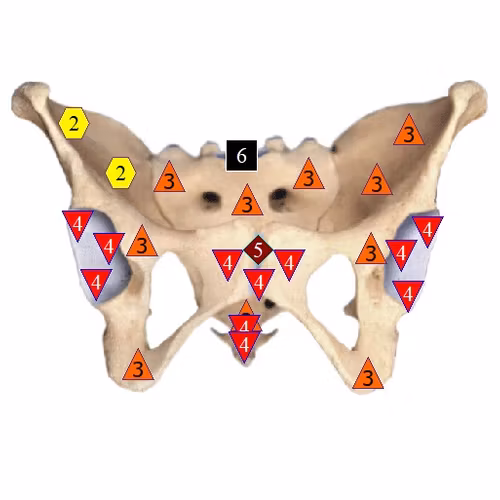 Man/Pälsanalys med Oberon Häst - Hund - Katt