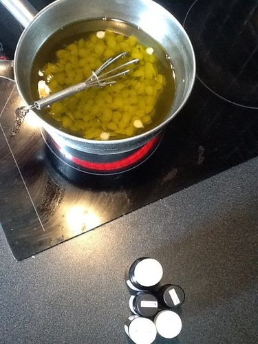Distanskurs: Aromaterapi för hemmabruk *KOMMER SNART*