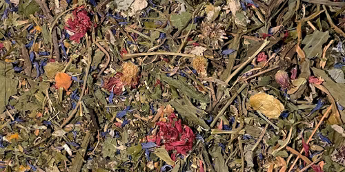 Nordic Bio Boost SS Spring/Summer