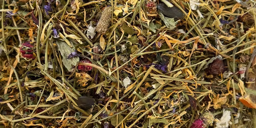 Nordic Bio Boost FW Fall/Winter