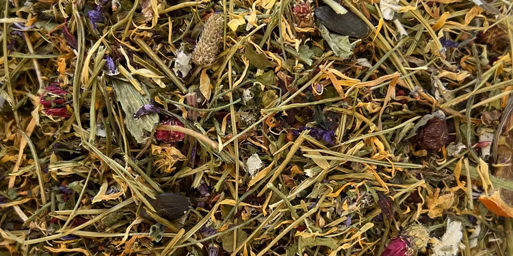 Nordic Bio Boost FW Fall/Winter