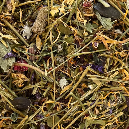 Nordic Bio Boost FW Fall/Winter (stärkande örtblandning)