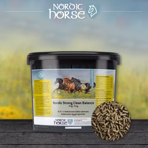 Nordic Strong Clean Balance (detox)