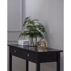 House Mirror