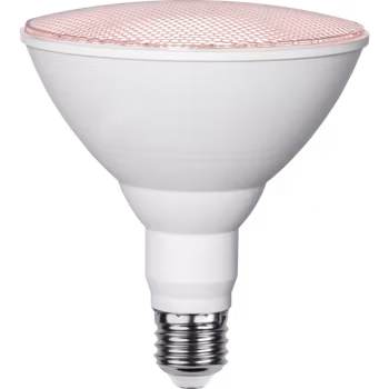 Växtlampa LED E27