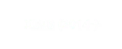 XC90 (2014-) - Bische Performance AB