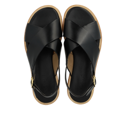 Angulus 5637 Svart, normalform