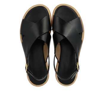 Angulus 5637 Svart, normalform