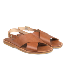 Angulus 5637 Tan, normalform