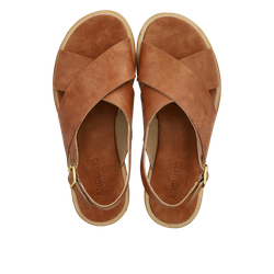 Angulus 5637 Tan, normalform