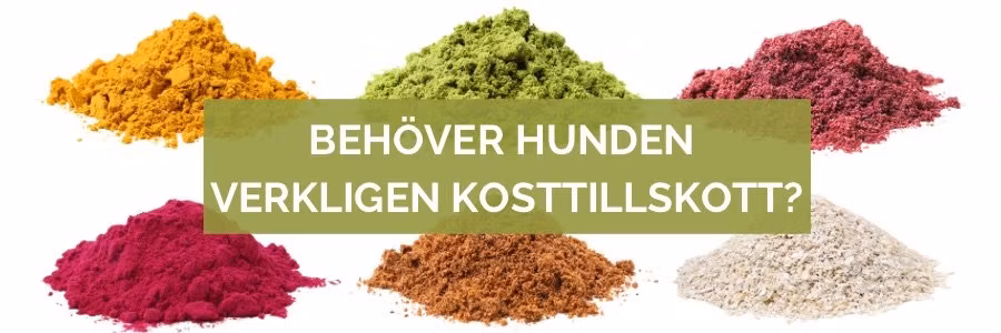Behöver hunden verkligen kosttillskott?