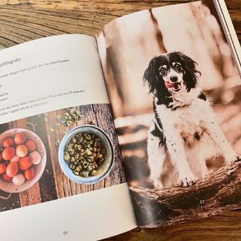 E-bok Hemlagat i matskålen, Hundmatskockens bästa recept