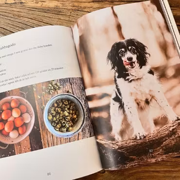 E-bok Hemlagat i matskålen, Hundmatskockens bästa recept