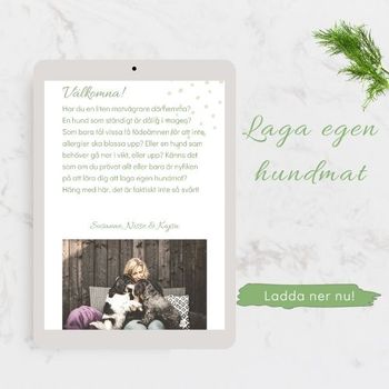 Lär dig laga egen hundmat, E-bok