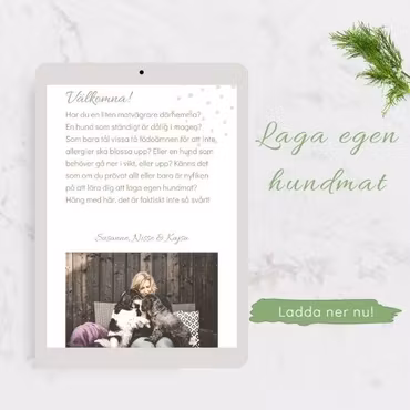 Lär dig laga egen hundmat, E-bok