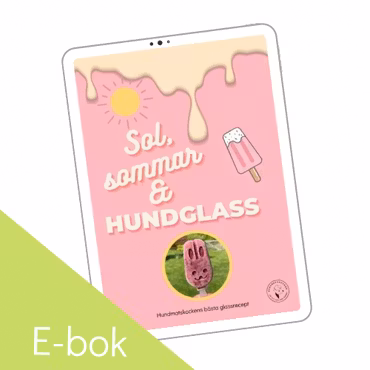 Sommar, sol & hemlagad hundglass, E-bok