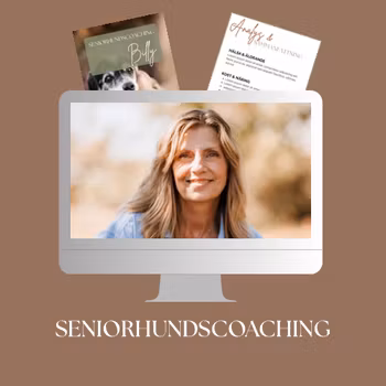 Seniorhundscoaching, 60 minuters videokonsultation • Digitalt stödmaterial ingår