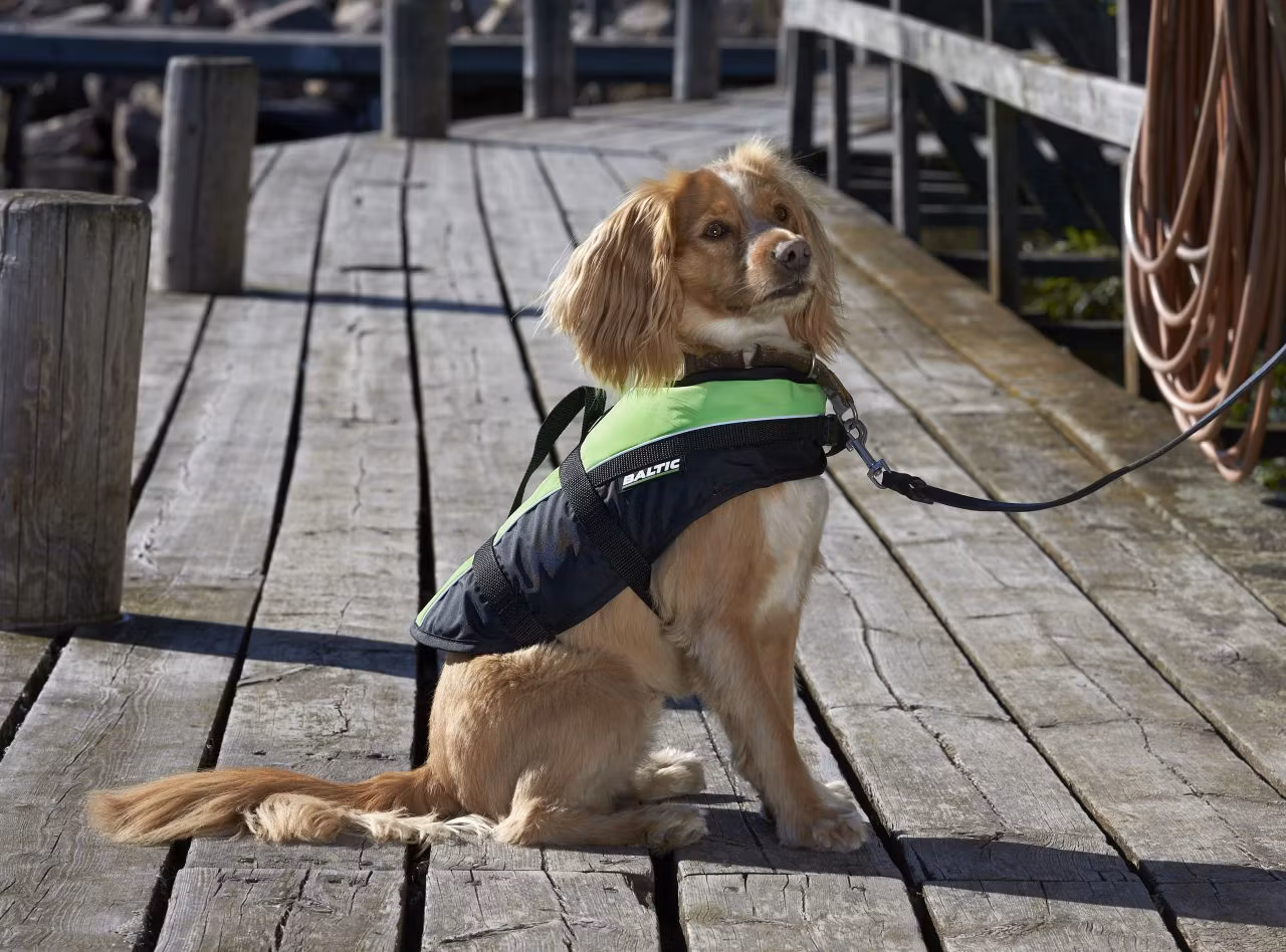 Baltic Hundväst Mascot