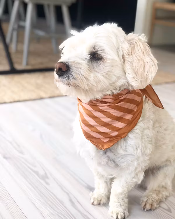 Stripe scarf small