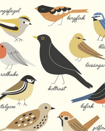 Swedish birds