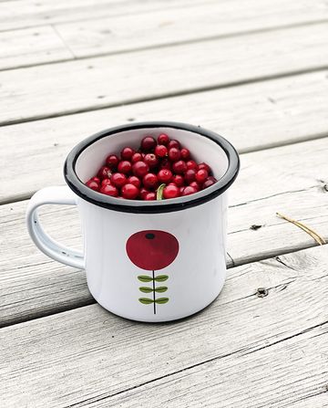 Lingonberry enamel mug