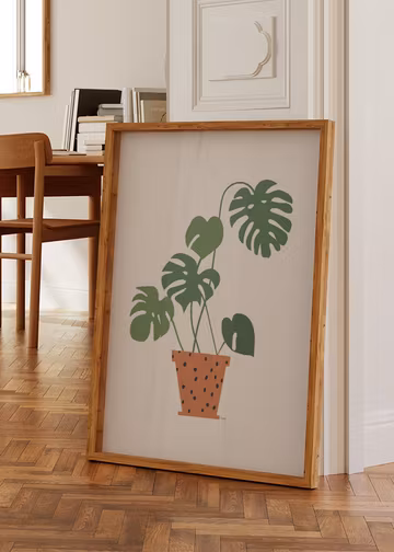 Monstera