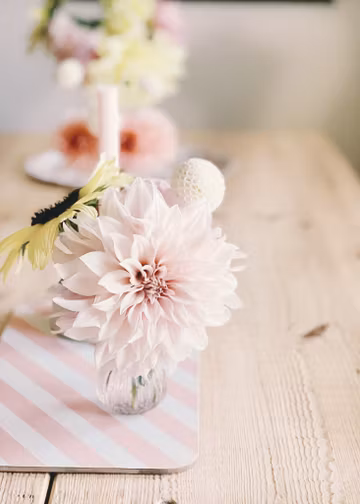 Polka skärbräda bubbelgum