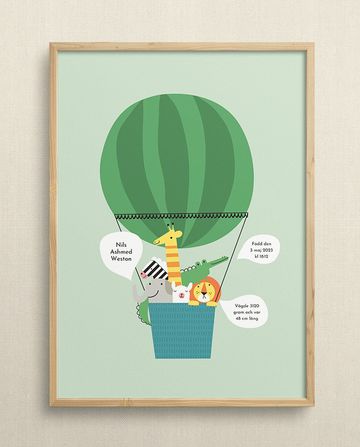 Zoo balloon