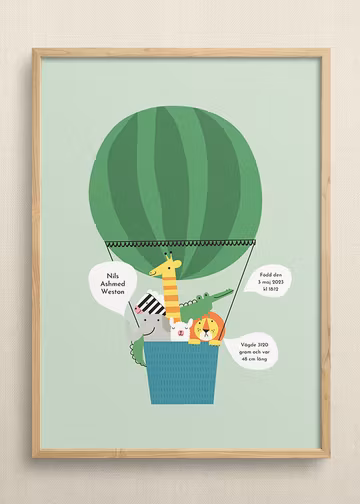 Zoo balloon
