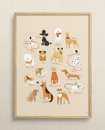 Dogs