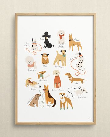 Dogs