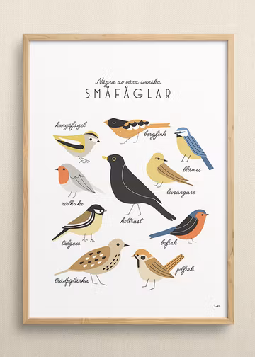 Swedish birds