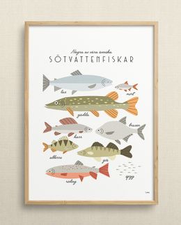 Sötvattenfiskar