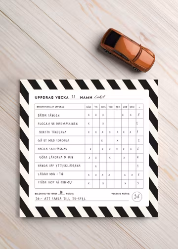 Assignment Polka magnetic pad