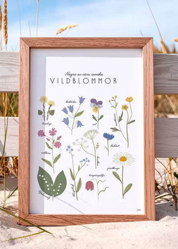 Vildblommor