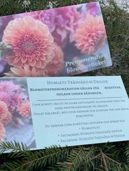 Prenumeration valfritt antal snittblomsbuketter á