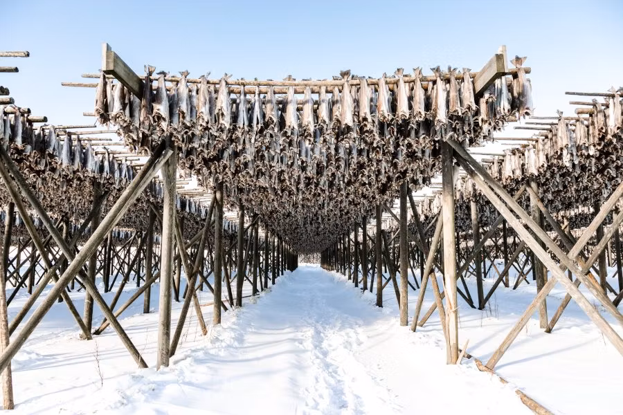 Tørrfisk og klippfisk i beredskapslageret