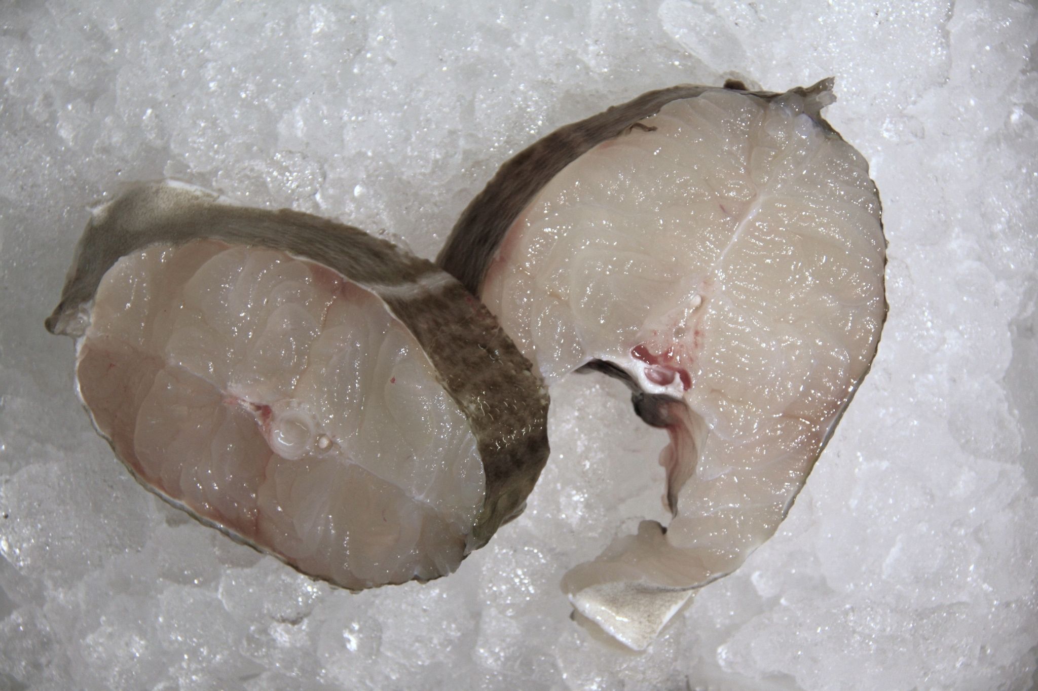 Skrei - Skiver