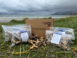 Tørrfisk snadder - Nakkestykke til hund