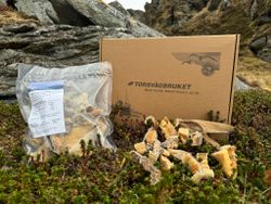 Torskebiter - delikate protein biter