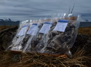 Tørrfisk Godbiter til Hund - Sei