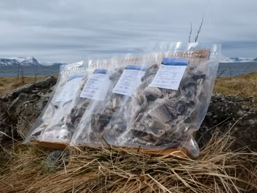 Tørrfisk Godbiter til Hund - Sei