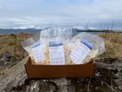 Tørrfisk Snacks Eske 5x200g