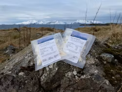 Tørrfisk Snacks 50g