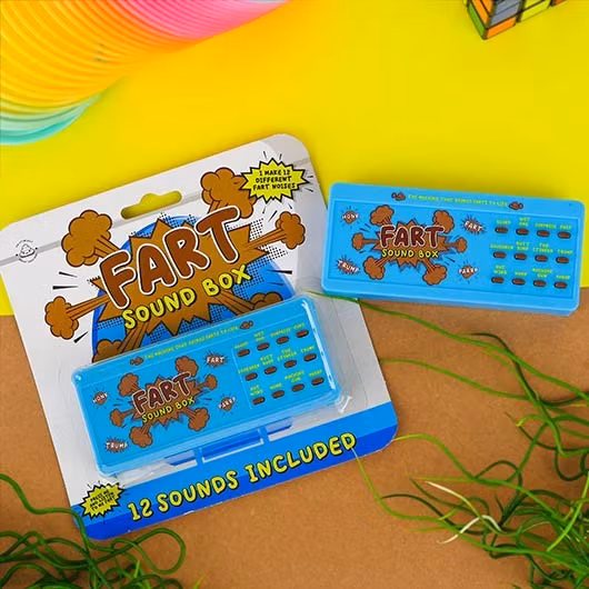 Fart sound box
