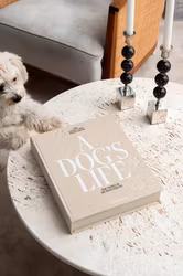 Fotoalbum - A dog´s life