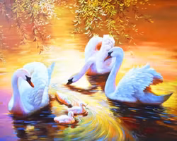 Svanar 40x50