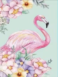 Flamingo 20x30